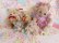 画像7: Red Bow Teddy Bear M