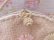画像7: Pastel Daisy Raffia Purse
