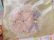 画像5: Children’s Purse Pink Daisy