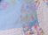 画像8: Pindots Blue Sheer