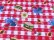 画像5: Picnic Gingham Check Red (5)