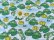 画像4: Frogs (4)