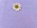 画像5: Pindots Lavender Sheer
