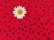 画像4: Alphabet Corduroy Red