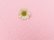 画像6: Pindots Pink