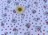 画像5: Dalmatian&Heart (5)