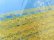 画像4: Trim Lace Yellow 4yard (4)