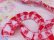 画像3: Cotton Frill Trim Gingham Red (3)