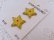 画像4: Cookie Star Button (4)