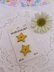 画像1: Cookie Star Button (1)