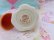 画像9: AVON Country Ice Cream Cologne