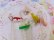 画像6: Whistle Swizzle Set