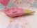 画像9: Ice Cream Dish Pink