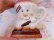 画像6: Hershey's S'more Mug B