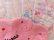 画像7: Sprinkle Ice Cream Dish Pink 