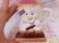 画像8: Hershey's S'more Mug A 