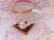 画像5: Hershey's S'more Mug A 