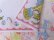 画像5: Hanky 507