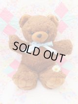 Fluffy Brown Bear L