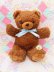 画像1: Fluffy Brown Bear L (1)
