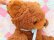 画像6: Fluffy Brown Bear L