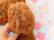 画像7: Fluffy Brown Bear L