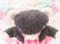 画像6: Jumbo Bear Charcoal 