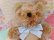 画像8: Skyline Bear 
