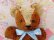 画像6: 2Tone Brown Bear 
