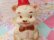 画像6: Mobley Music band Bear