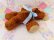 画像7: 2Tone Brown Bear 