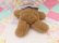 画像7: Sailor Collar Teddy Bear