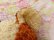 画像9: 2Tone Brown Bear 
