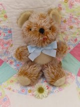 Skyline Bear 