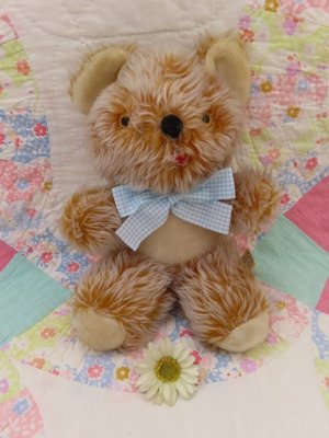 画像1: Skyline Bear 