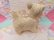 画像3: Mobley Kitten Small