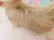 画像10: Mobley Kitten Small