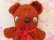 画像5: Funny Face Bear Brown