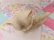 画像6: Mobley Kitten Small