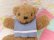 画像6: Sailor Collar Teddy Bear