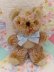 画像2: Skyline Bear 