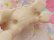 画像8: Mobley Kitten Small