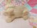 画像7: Mobley Kitten Small
