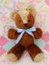 画像2: 2Tone Brown Bear 