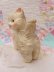 画像5: Mobley Kitten Small