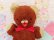 画像4: Rubber Nose Bear Brown