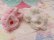 画像11: Spaghetti Poodle S&P Shaker