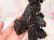 画像7: Bottle Cover Poodle Black×Silver