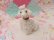画像5: Spaghetti Poodle S&P Shaker