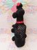 画像5: Bottle Cover Poodle Black L